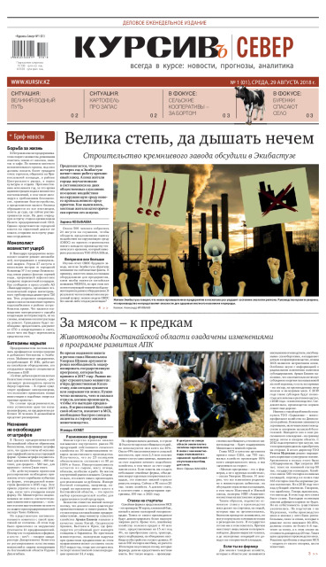 Газета Курсив №01 (север)