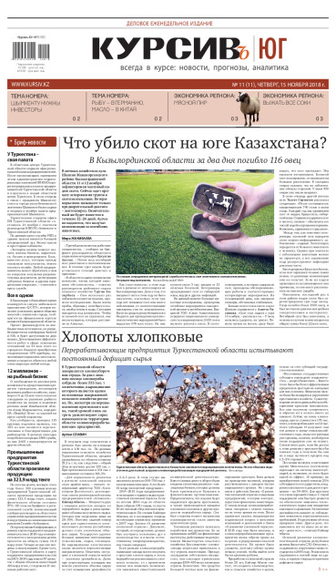 Газета Курсив №11 (юг)
