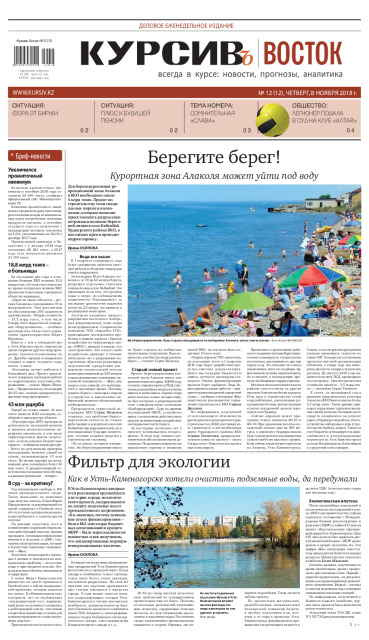 Газета Курсив №12 (восток)
