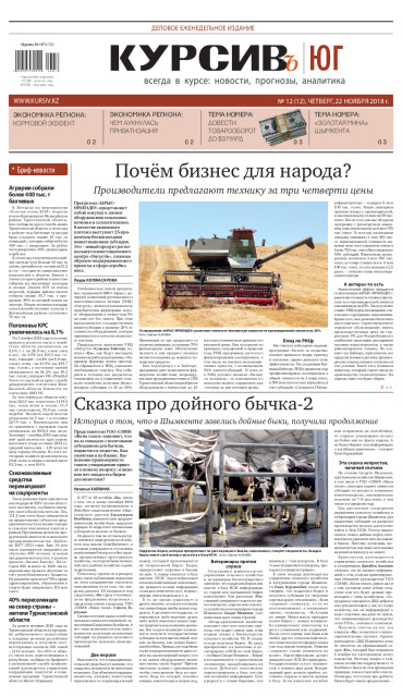 Газета Курсив №12 (юг)