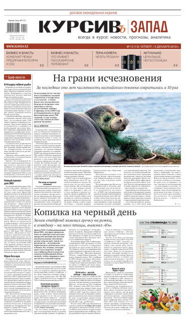 Газета Курсив №13 (запад)