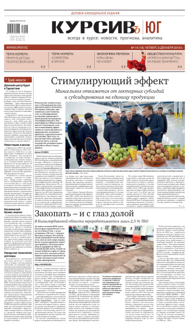 Газета Курсив №14 (юг)