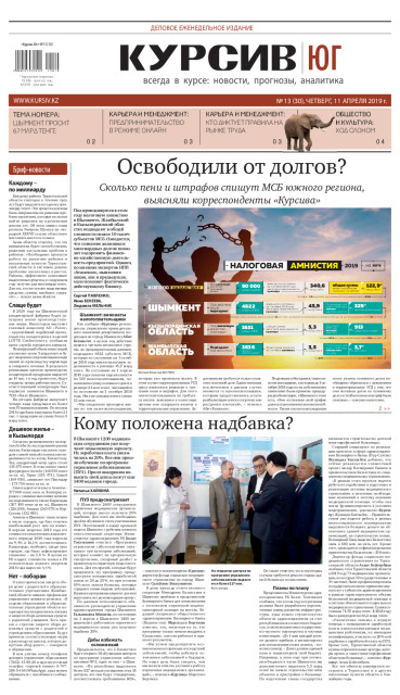 Газета Курсив №13 (юг)