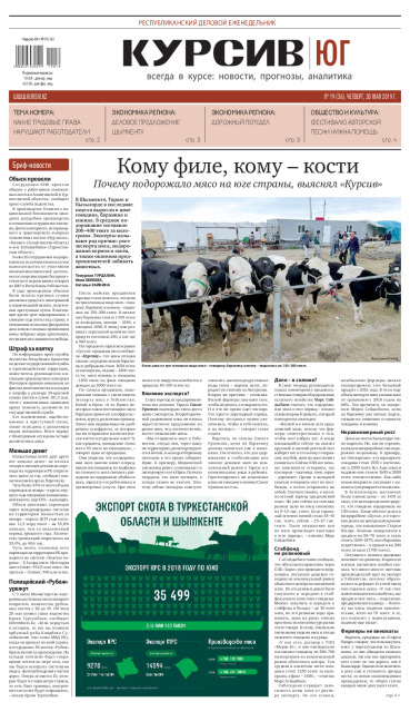 Газета Курсив №19 (юг)