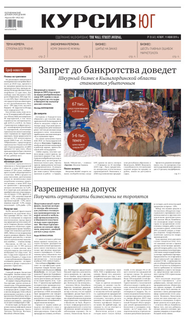 Газета Курсив №25 (юг)