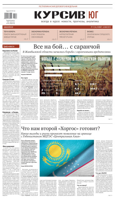 Газета Курсив №17 (юг)