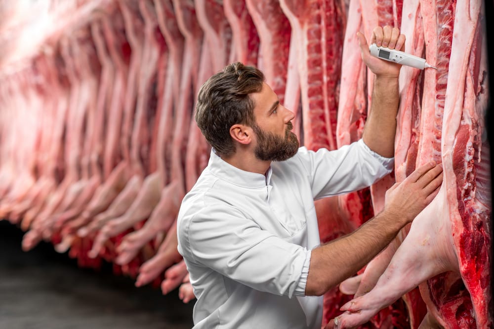 Французская компания ищет партнеров в Казахстане для создания свиноводческого производства