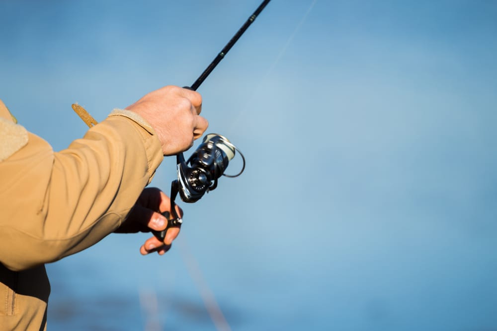 фото: shutterstock.com