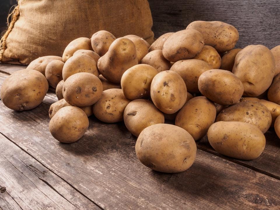 В Семее картофель, заготовленный по стабфонду, гниет на складах овощехранилища