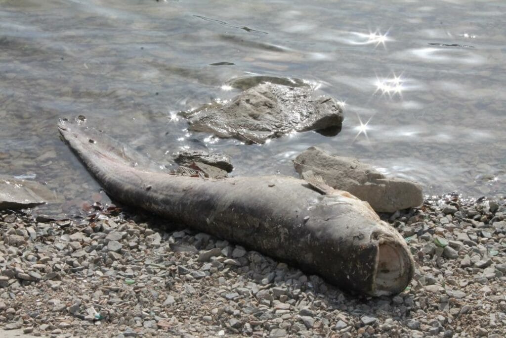 Фото: Автора