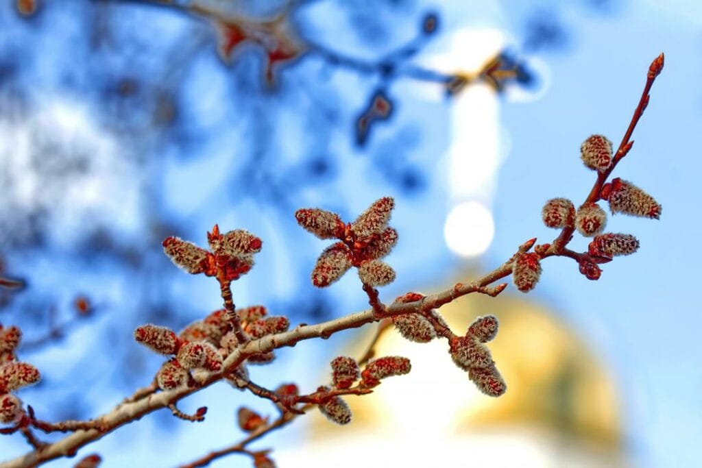 Фото: Shutterstock.com