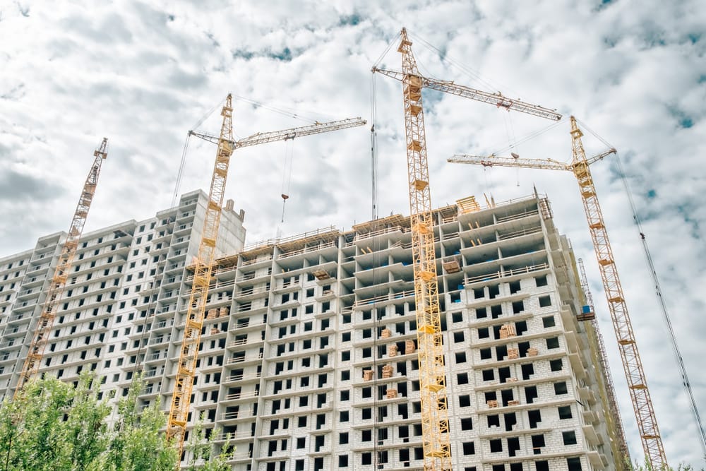 Фото: Shutterstock.com