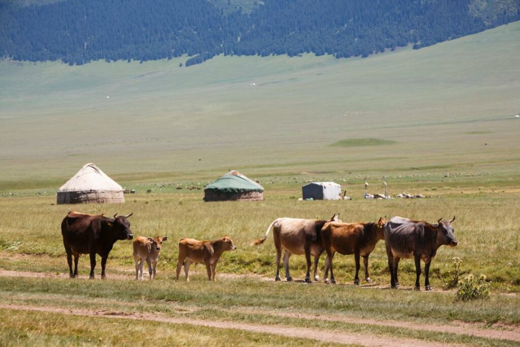 Фото: Shutterstock.com