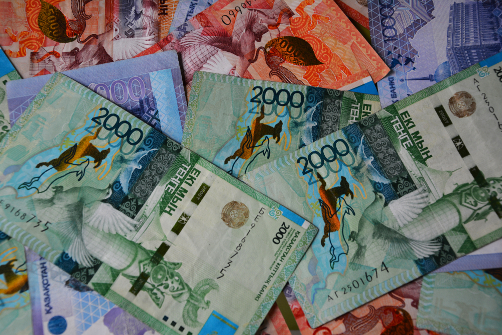 Қазақстанда импорт алмастырушы өндіріс үшін қаржыны қалай, қайдан алуға болады?