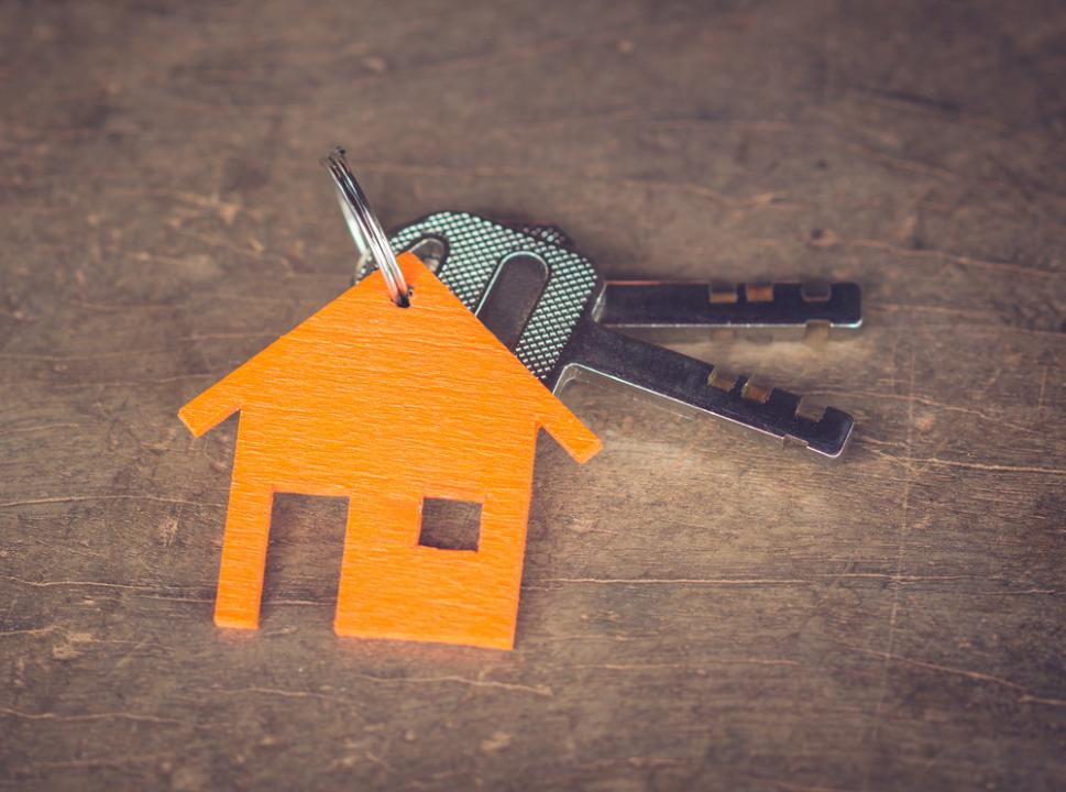 Фото: Shutterstock