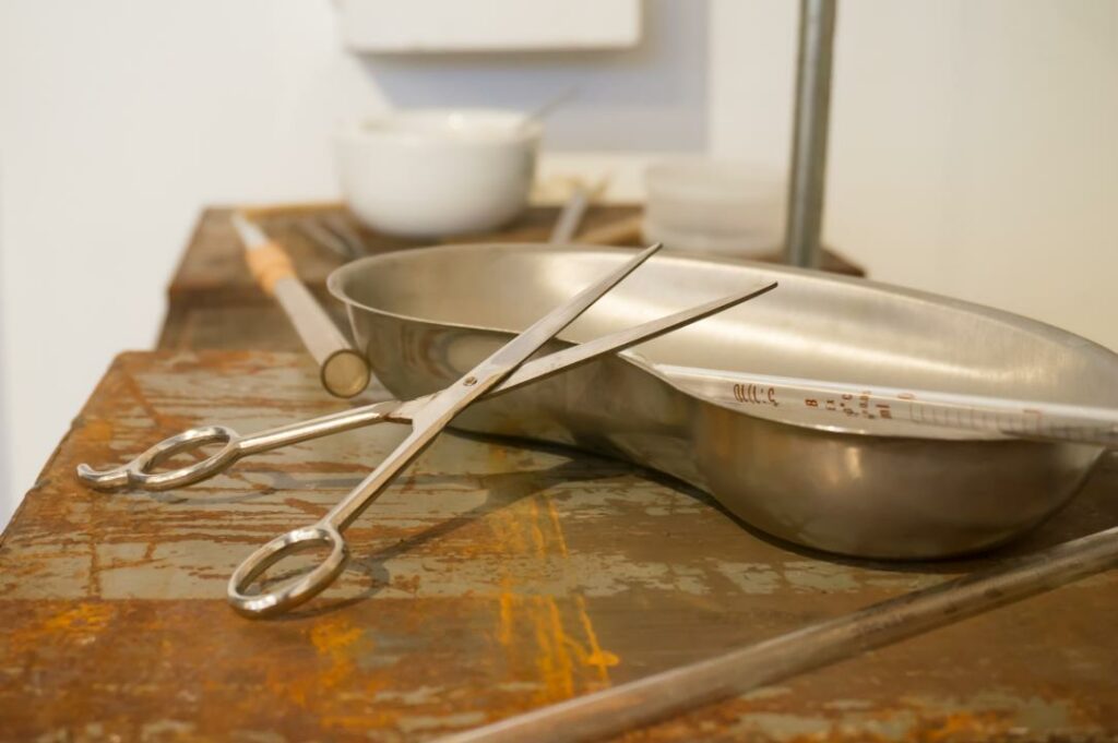 Фото: Shutterstock.com