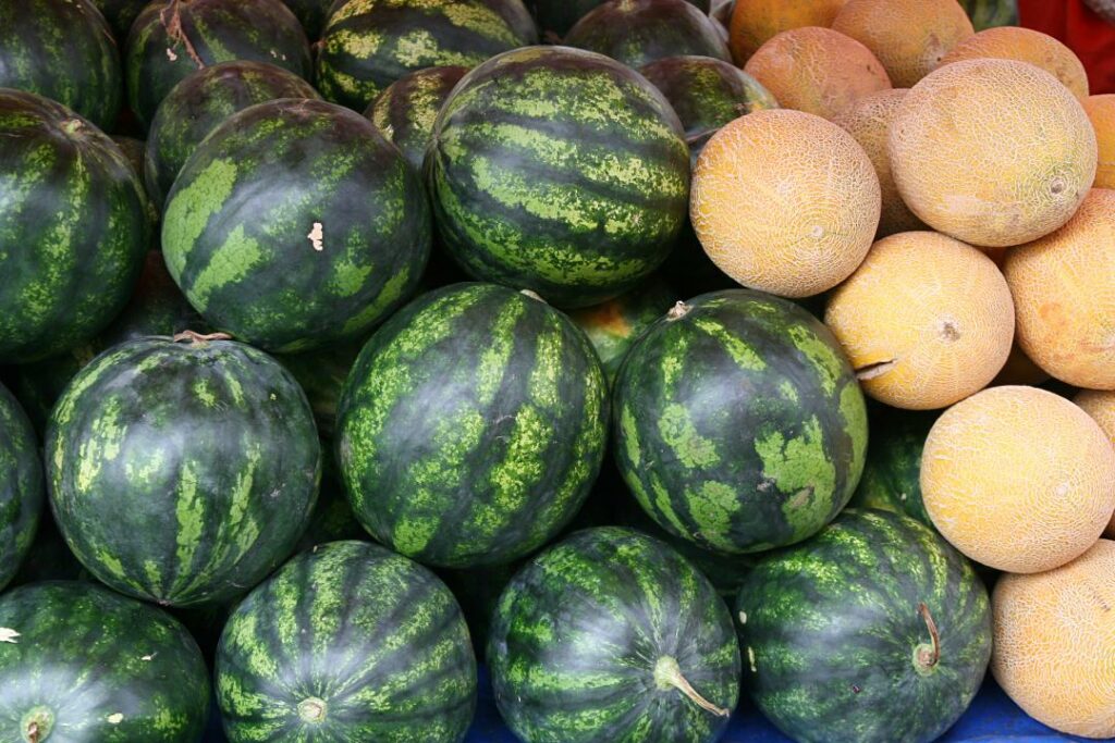 Изображение: Shutterstock.com