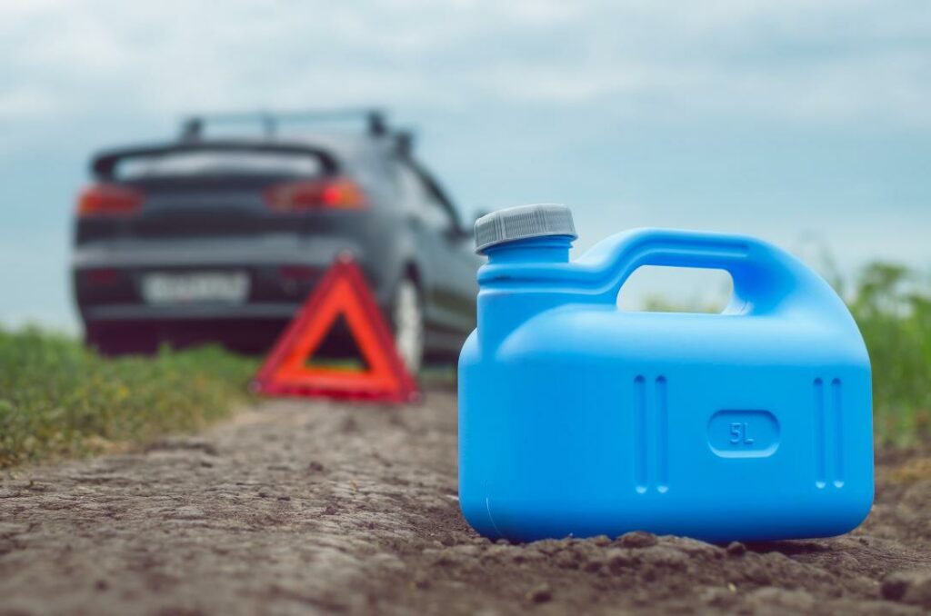 Фото: Shutterstock.com