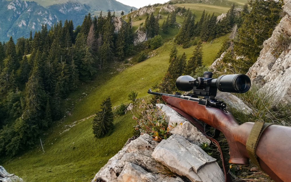 Фото: Shutterstock