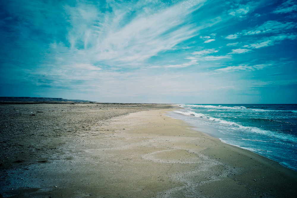 Фото: Shutterstock