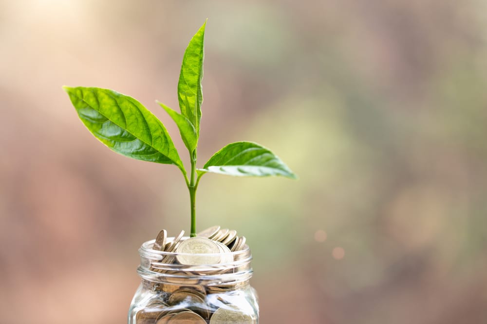 Фото: Shutterstock