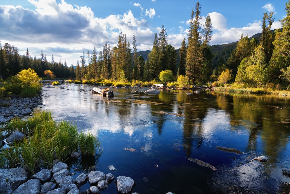 Фото: Shutterstock