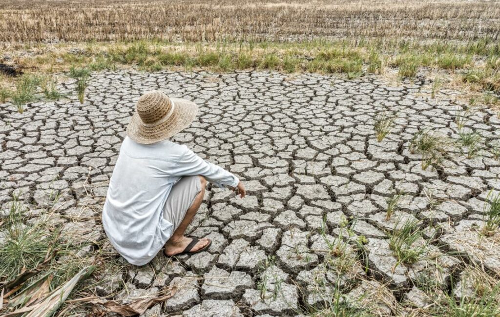 Фото: Shutterstock.com