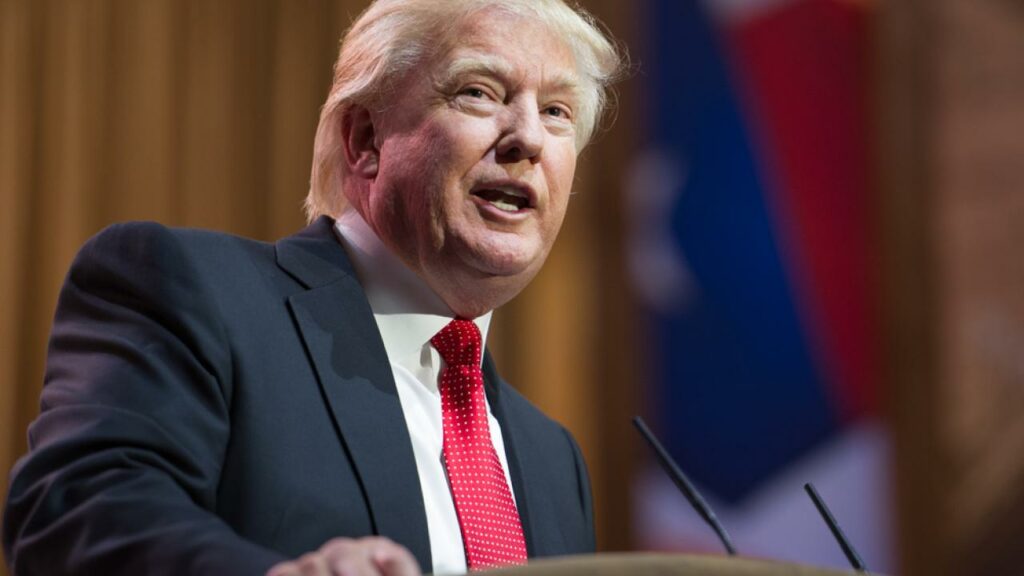 Фото: Christopher Halloran / Shutterstock.com