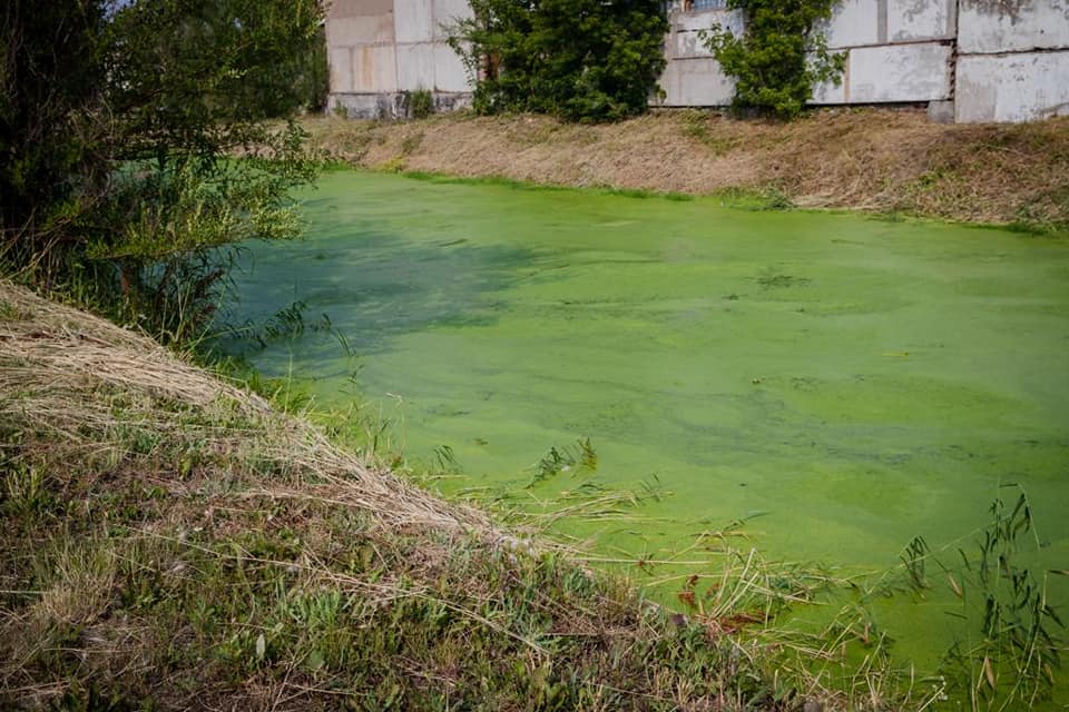 Фото: facebook.com/altay.kulginov.3