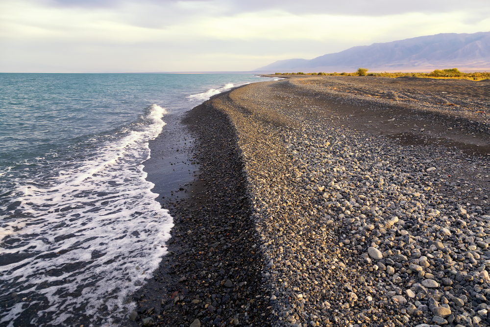 Фото: Shutterstock