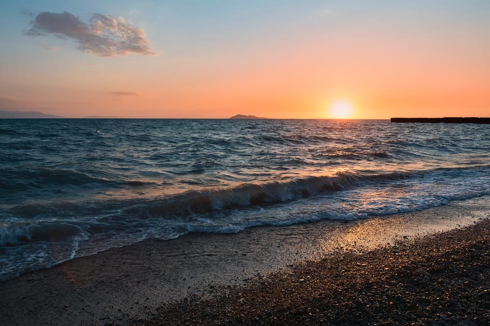 Фото: Shutterstock