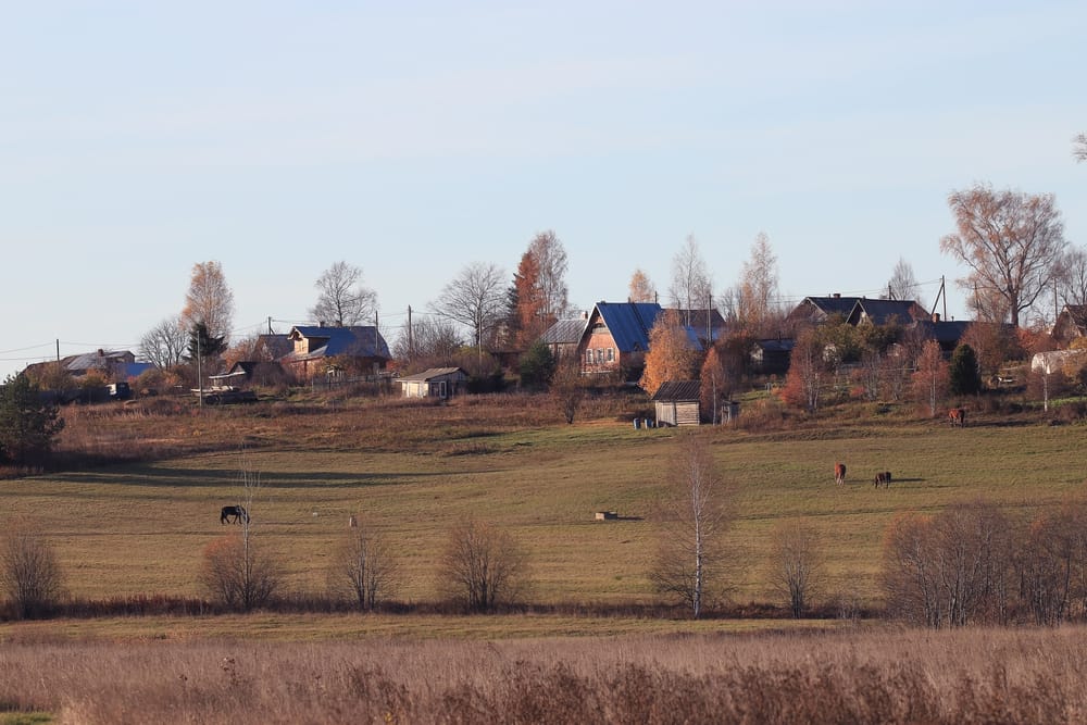 Фото: Shutterstock