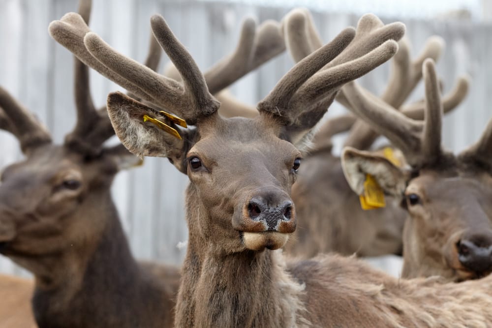 Фото: Shutterstock