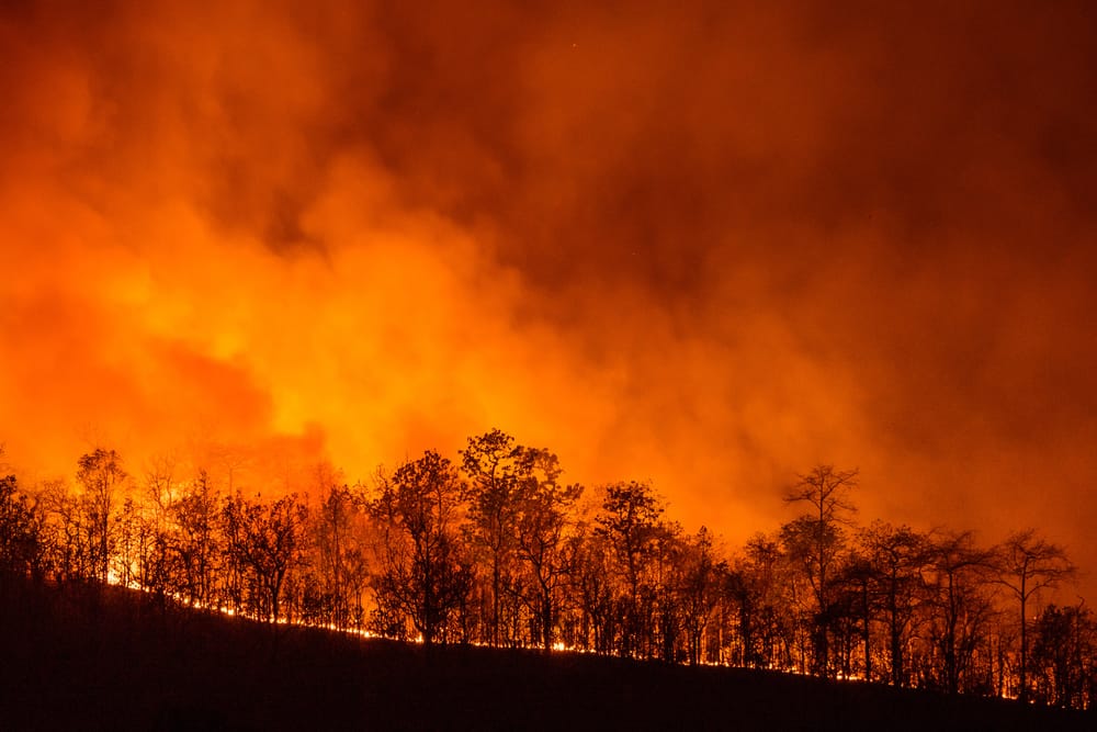 В Карагандинской области горящая степь грозит разорением местным фермерам