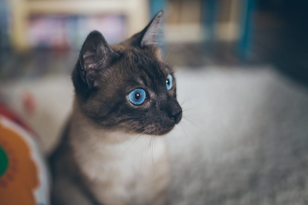 Фото: Shutterstock