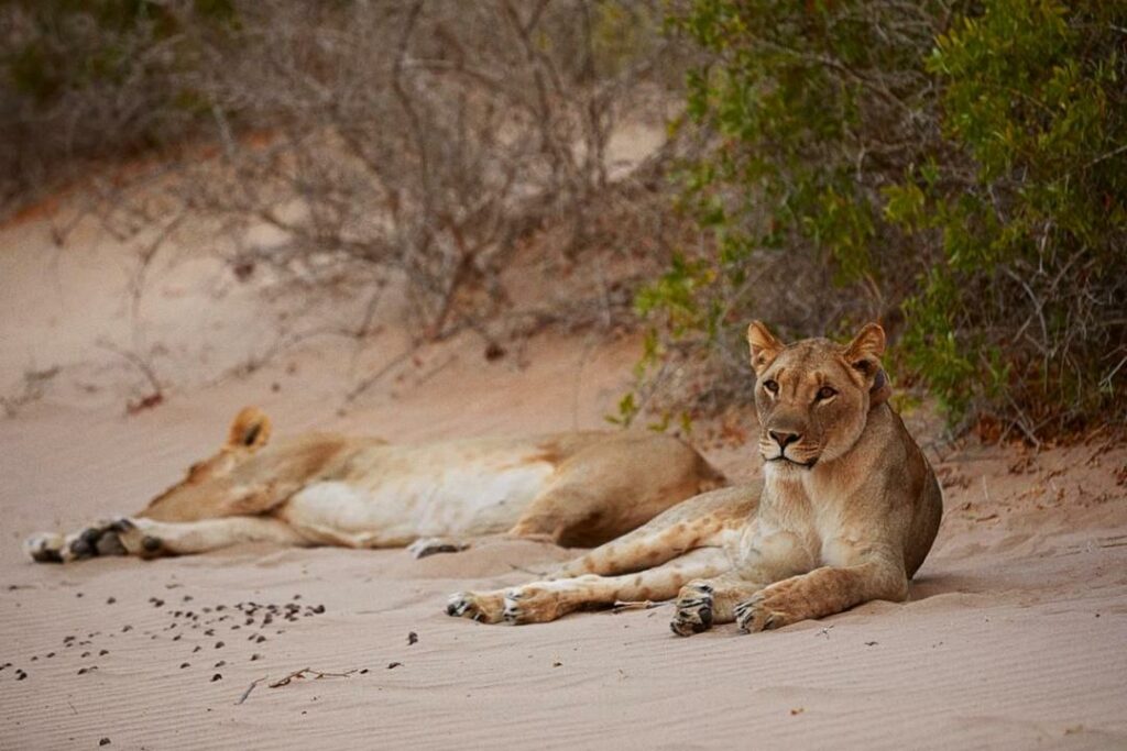 Фото: Gray Sorrenti для The Wall Street Journal. Magazine