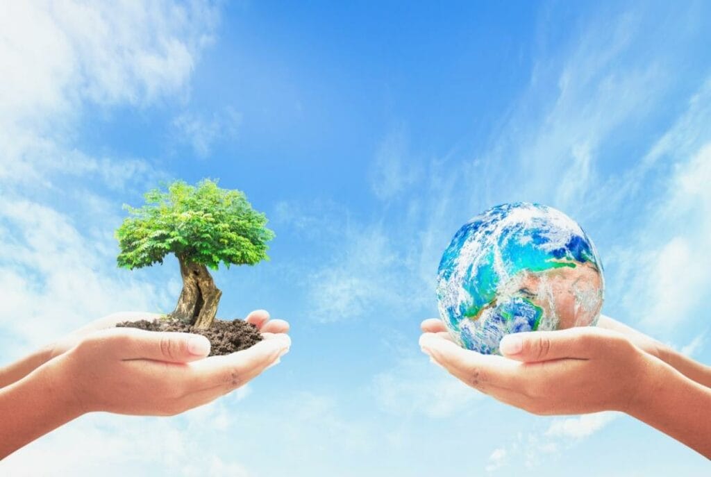 Фото: Shutterstock.com