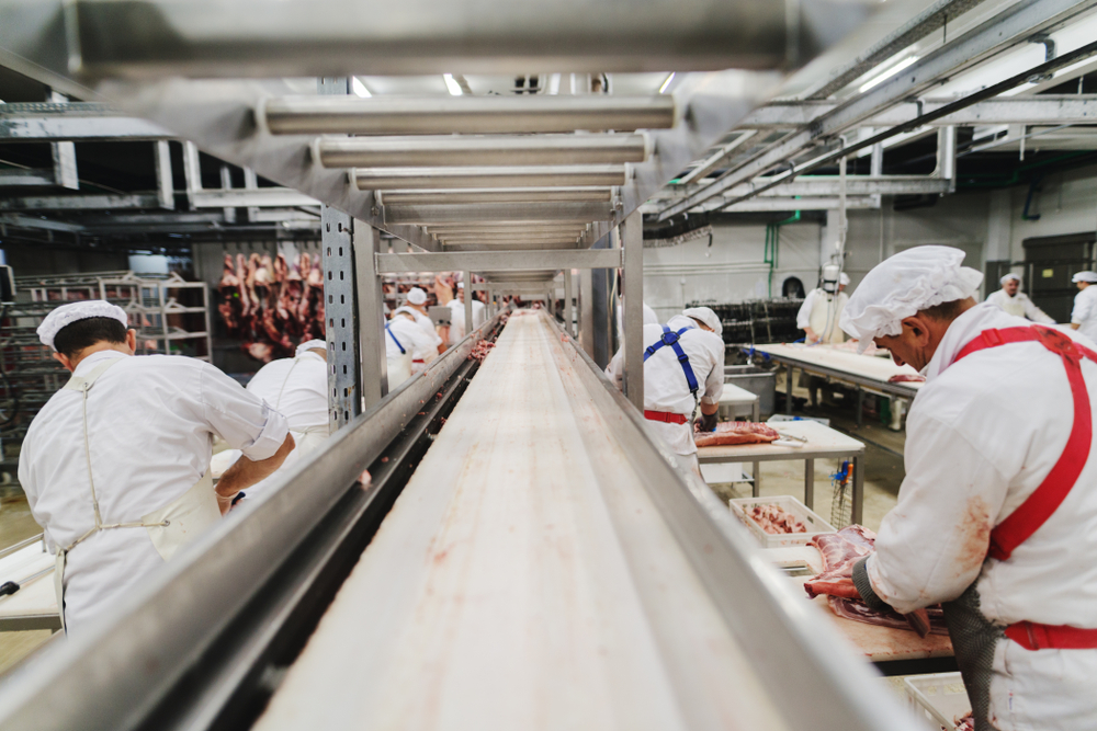Construction of a Meat Processing Plant Begins in Spring 2020