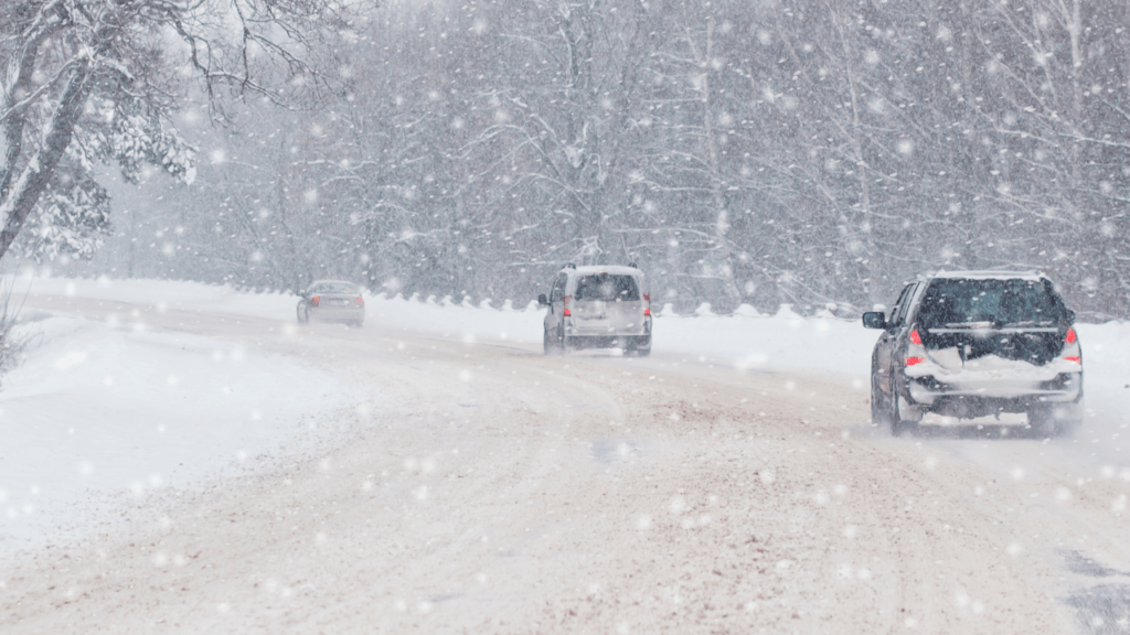 Фото: Scherbinator/Shutterstock