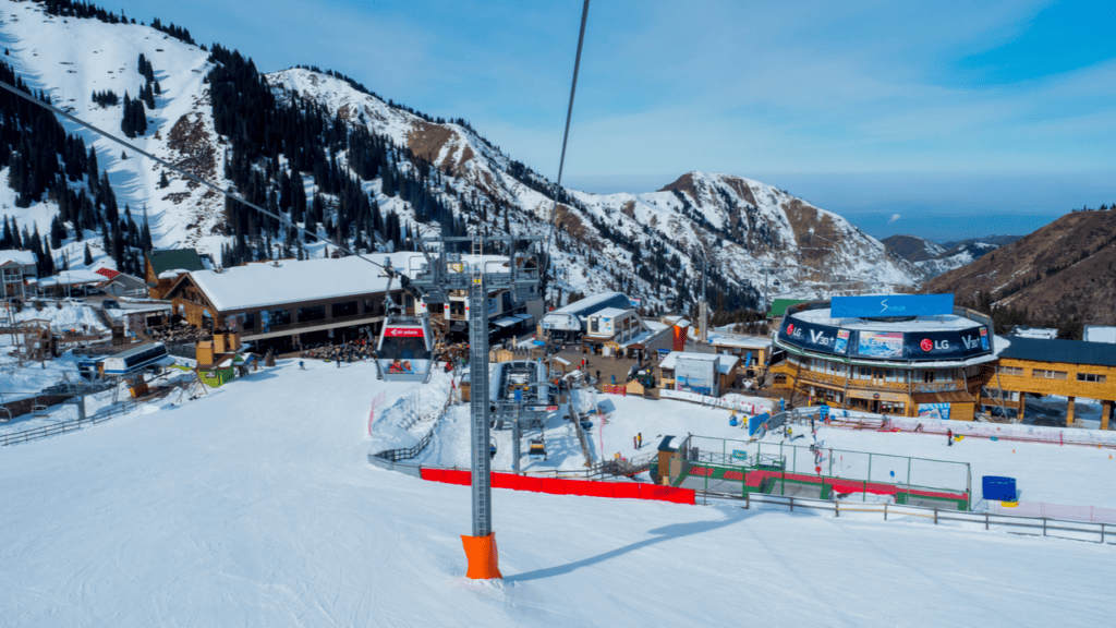 Фото: Aureliy/Shutterstock