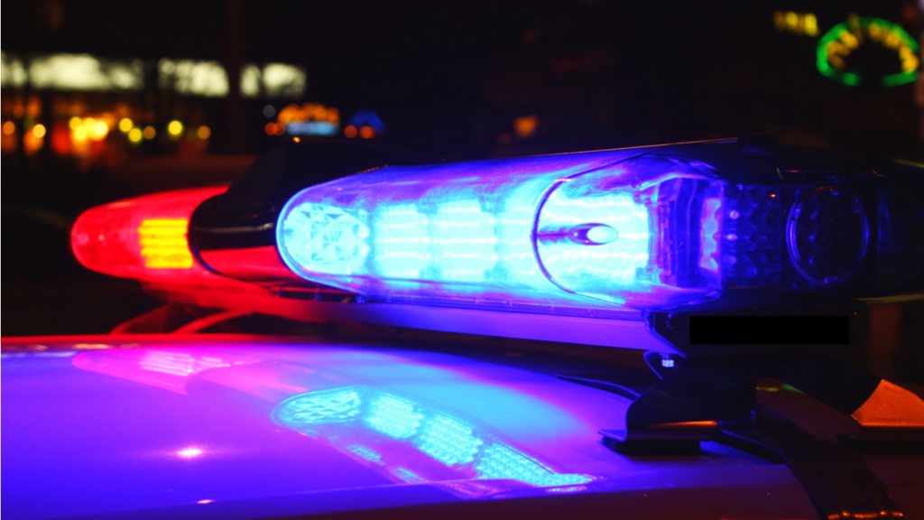 Фото: Shutterstock