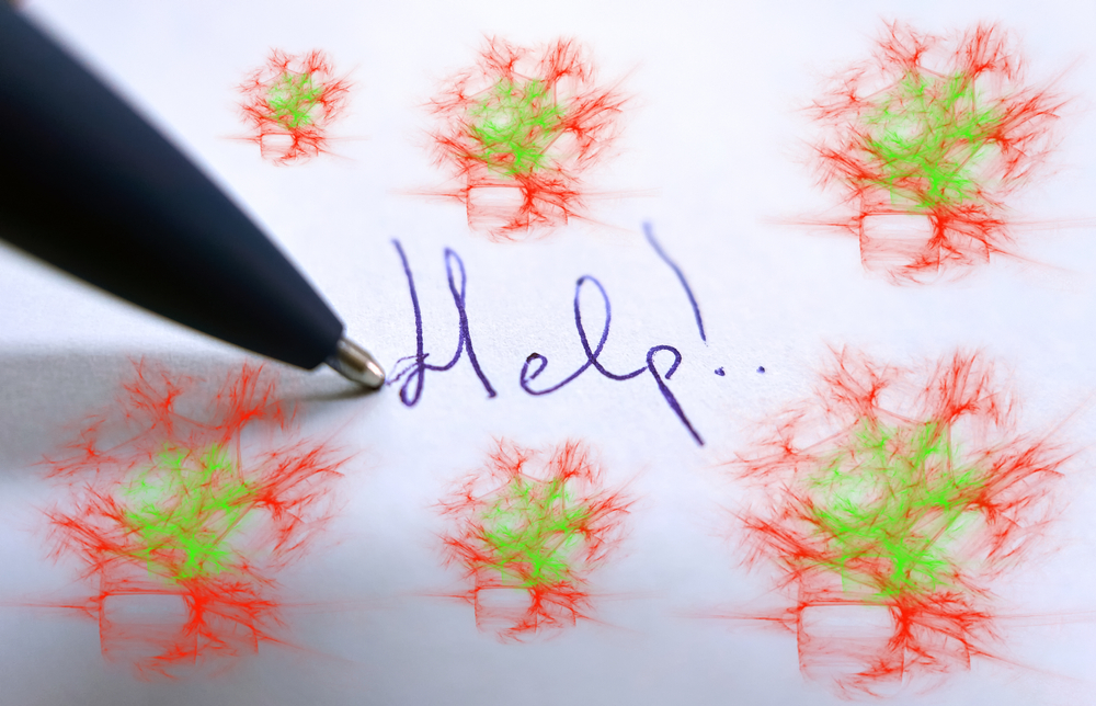 Фото: Shutterstock.com