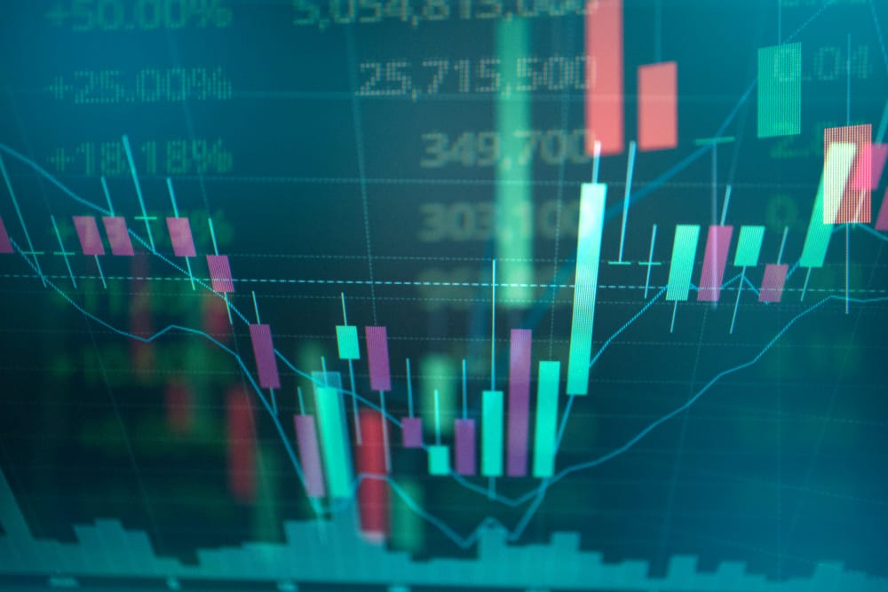 Фото: Shutterstock.com