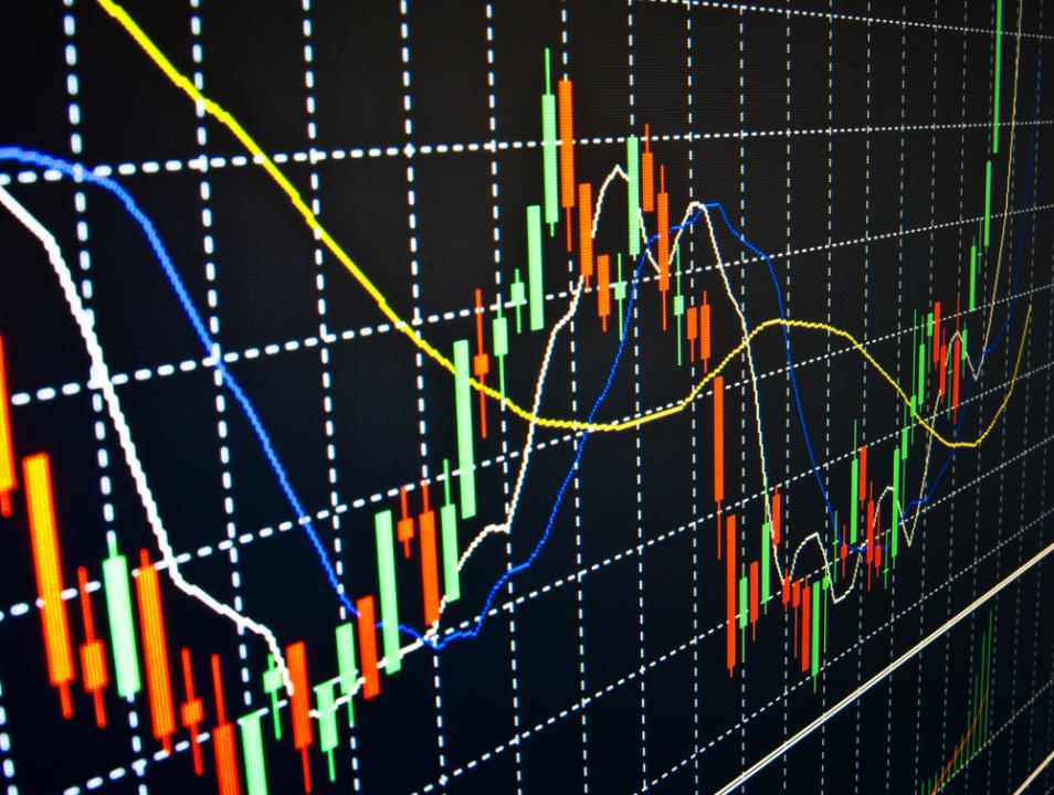 Фото: Shutterstock.com