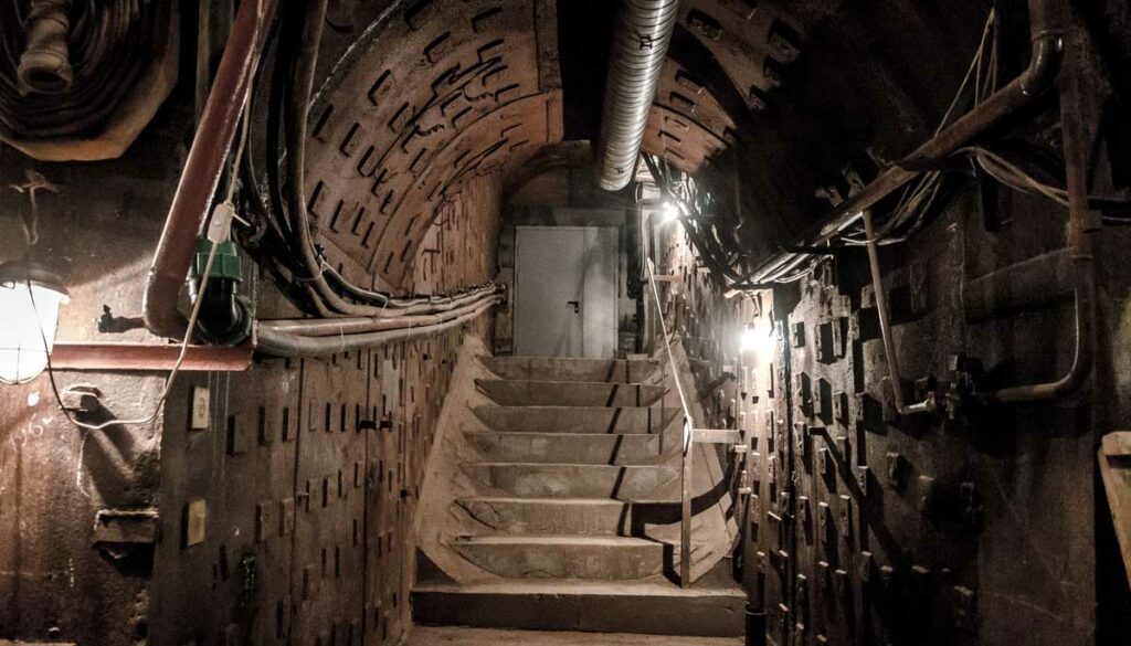 Фото: Shutterstock