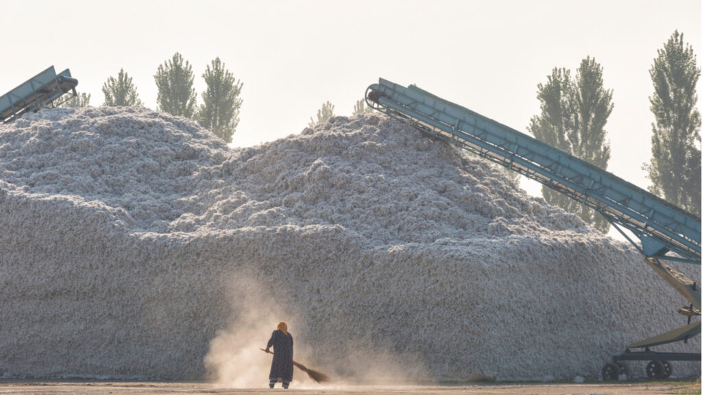 Фото: Shutterstock