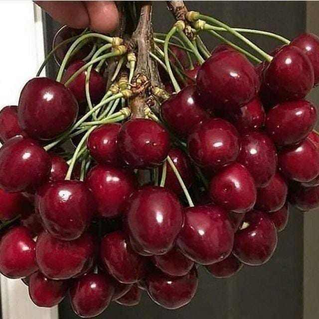 Фото: east-fruit.com