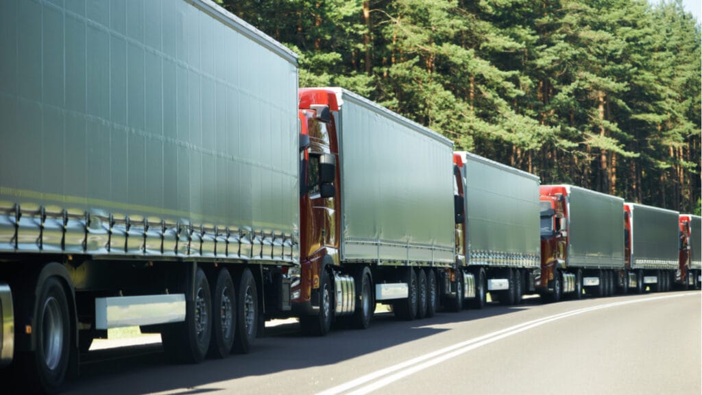 Фото: Shutterstock