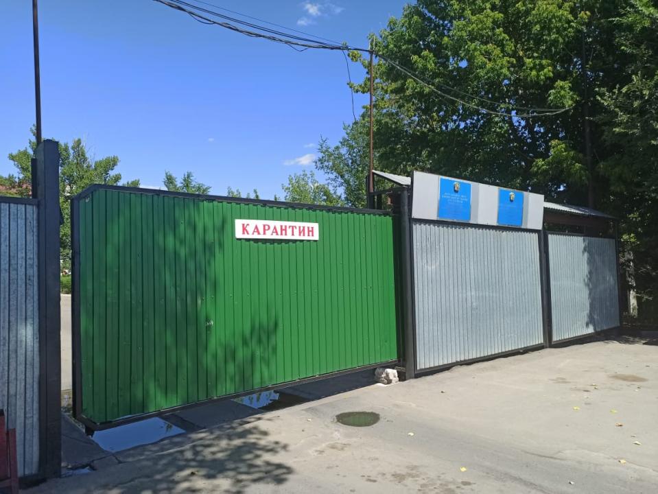 Фото: Нана Иксанова