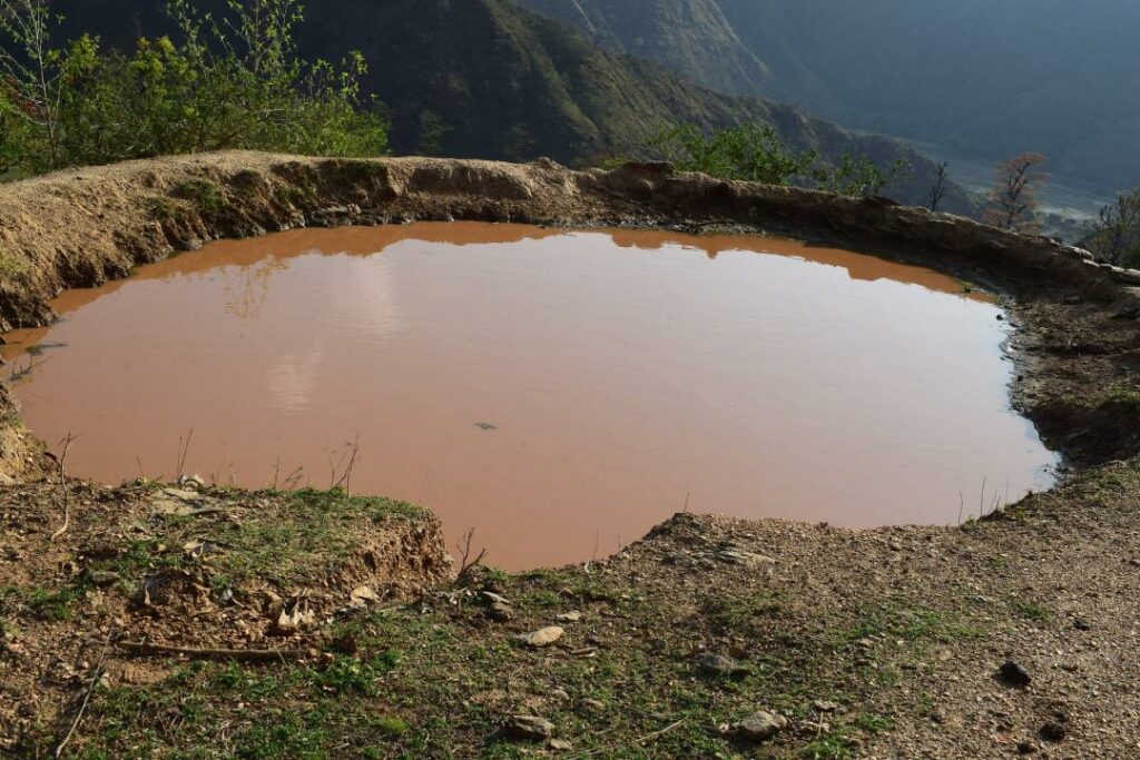 Фото: Ajay khadka/Pixabay